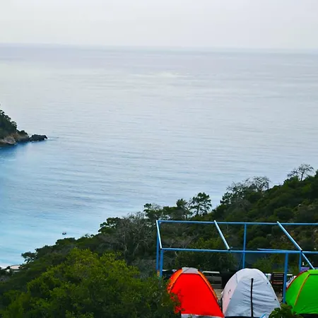 Fullmoon Camp فاراليا