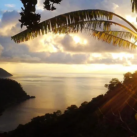 Fullmoon Camp بيت خشبي فاراليا