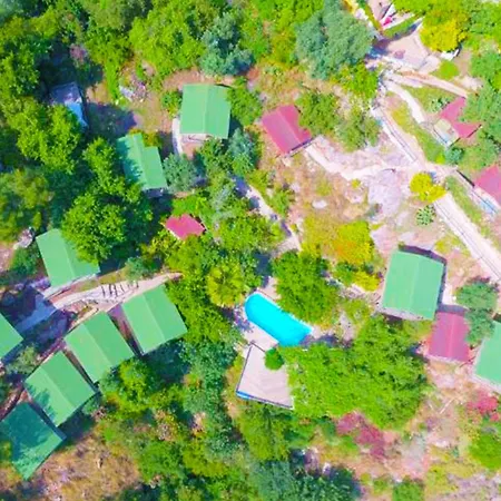 Fullmoon Camp * فاراليا