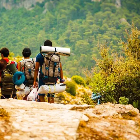 Fullmoon Camp بيت خشبي *