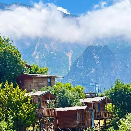 Fullmoon Camp * فاراليا