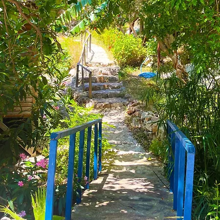 Fullmoon Camp فاراليا