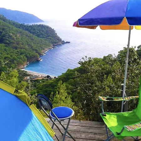 Fullmoon Camp بيت خشبي *