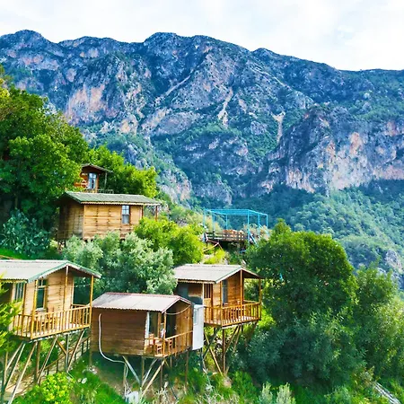 Fullmoon Camp * فاراليا