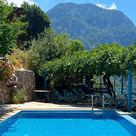 Fullmoon Camp بيت خشبي فاراليا