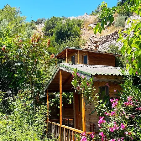 بيت خشبي Fullmoon Camp *