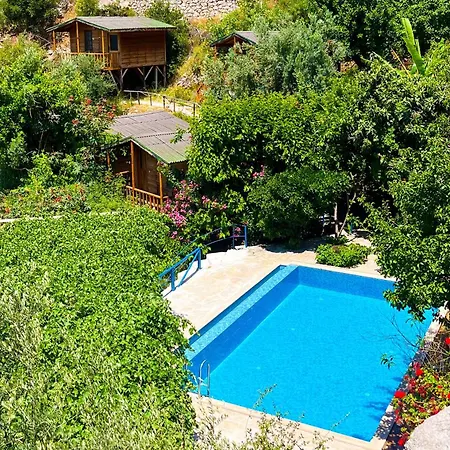 Fullmoon Camp بيت خشبي