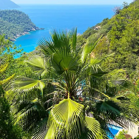 山林小屋 Fullmoon Camp 法拉尔雅