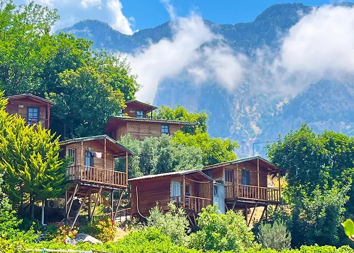 Lodge Fullmoon Camp *