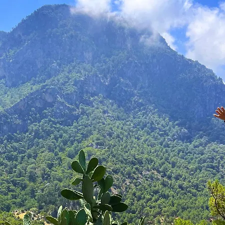 Fullmoon Camp Lodge Faralya