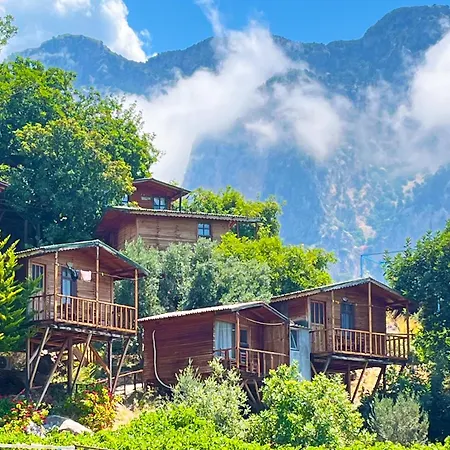 Lodge Fullmoon Camp *