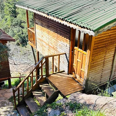 Fullmoon Camp * Фаралия