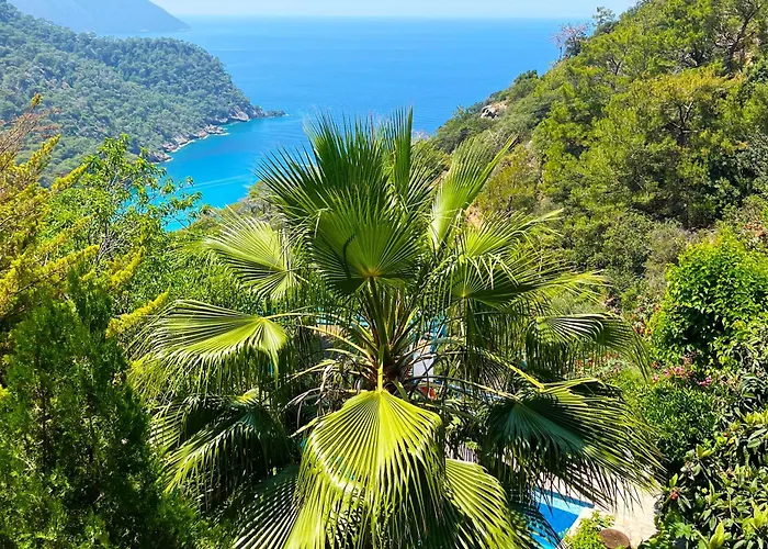 Hytte Fullmoon Camp Faralya