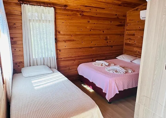 Lodge Fullmoon Camp *